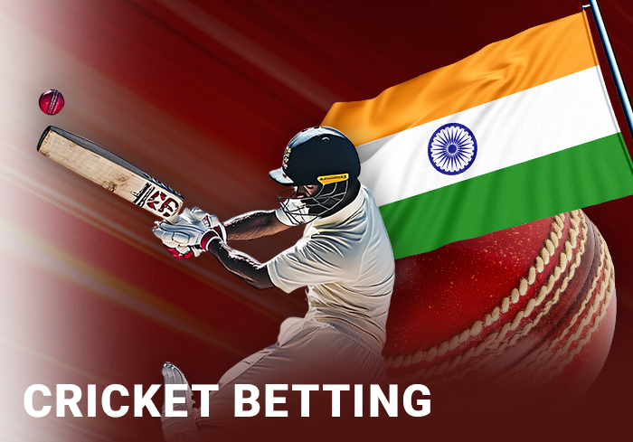 Cricket betting on Dream11 India - play fantasy cricket