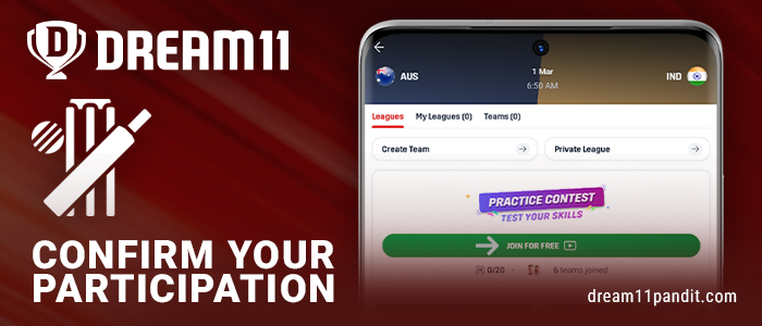 Agree to participate in the fantasy cricket tournament in Dream11 India
