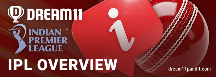 About fantasy IPL for Indian Dream11 players