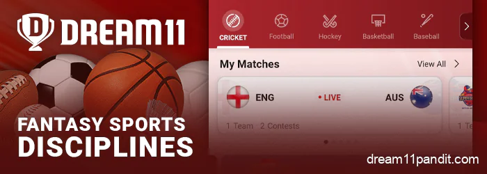 Available fantasy sports to play on Dream11 India