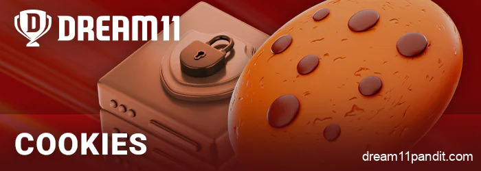 Cookies collected on the Dream11 India website