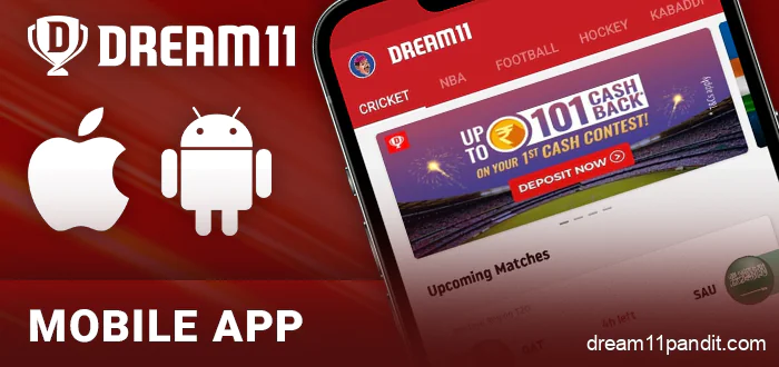 Dream11 app for iOS and Android - information