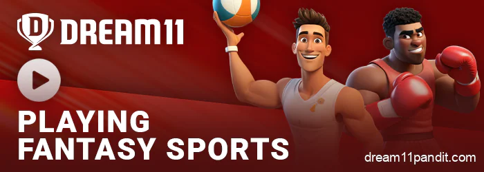 Play fantasy sports on the Dream11 website